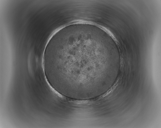 X0000115361247200911101150