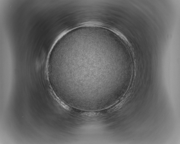 X0000115361248200911101150