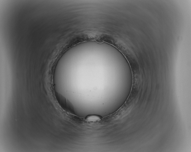 X0000115361249200911101149