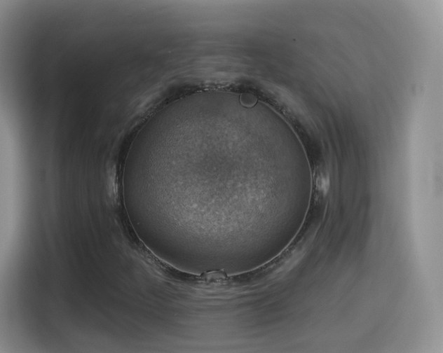 X0000115361252200911101149