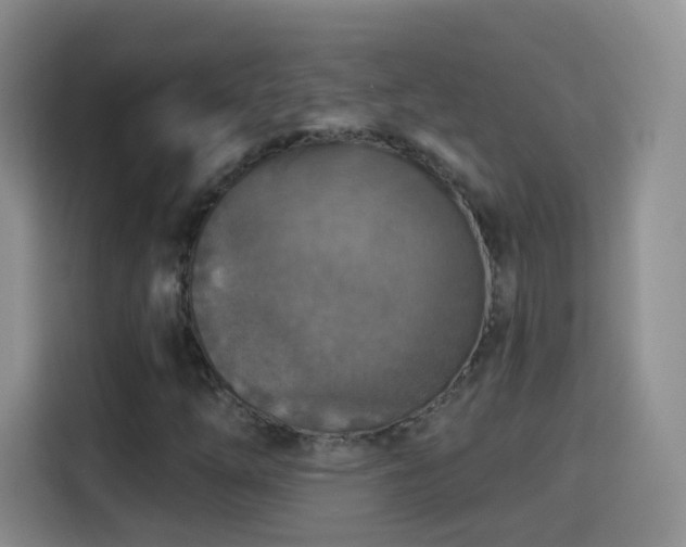 X0000115361254200911101149
