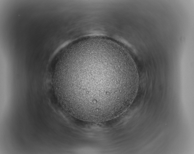 X0000115361255200911101149