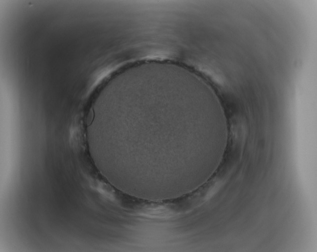 X0000115361256200911101149