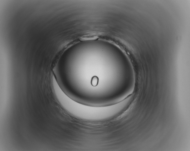X0000115361257200911101149