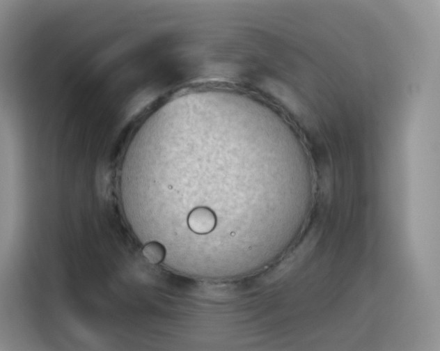 X0000115361258200911101149