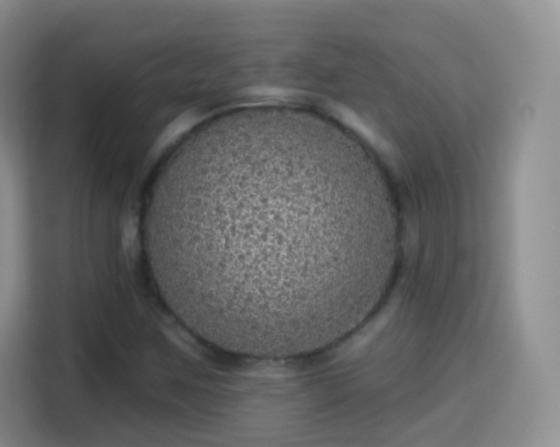 X0000115361259200911101149