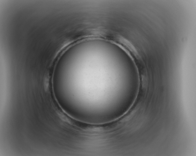 X0000115361260200911101149