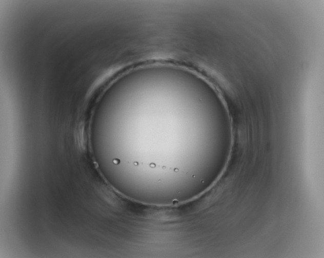 X0000115361262200911101149