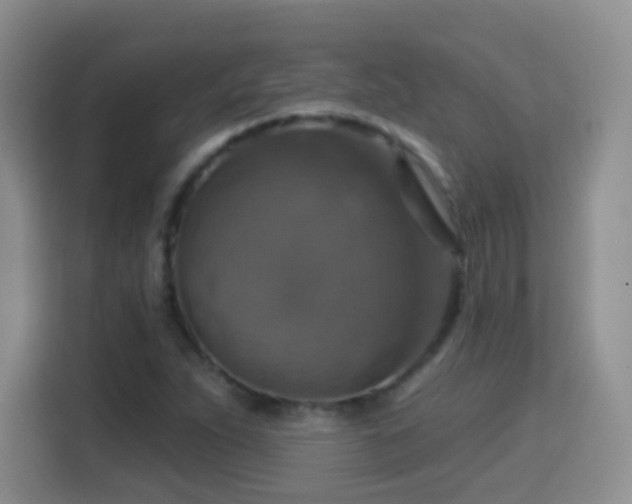 X0000115361263200911101149