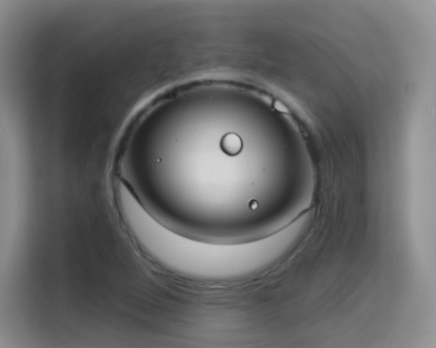 X0000115361264200911101149