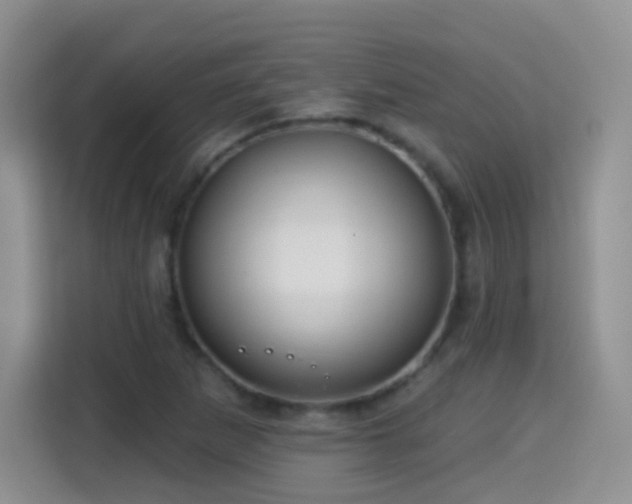 X0000115361265200911101149