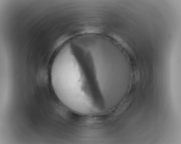 X0000115361266200911101149