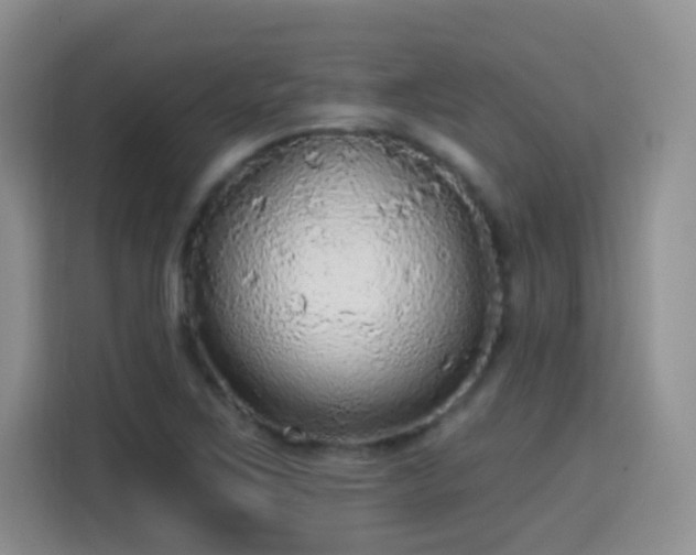 X0000115361267200911101149