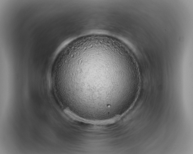X0000115361271200911101149
