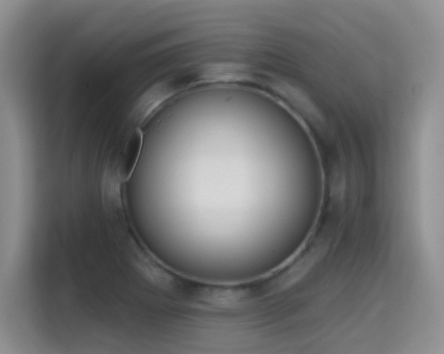 X0000115361273200911101149