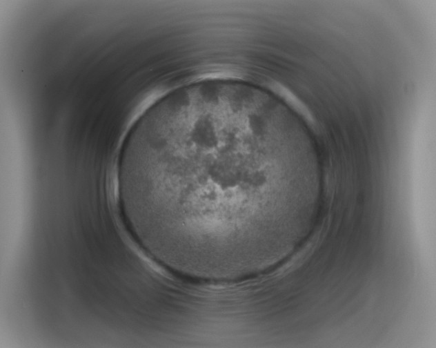 X0000115361274200911101149