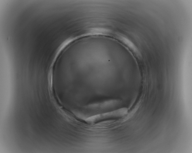 X0000115361275200911101149