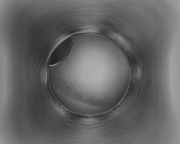 X0000115361276200911101149
