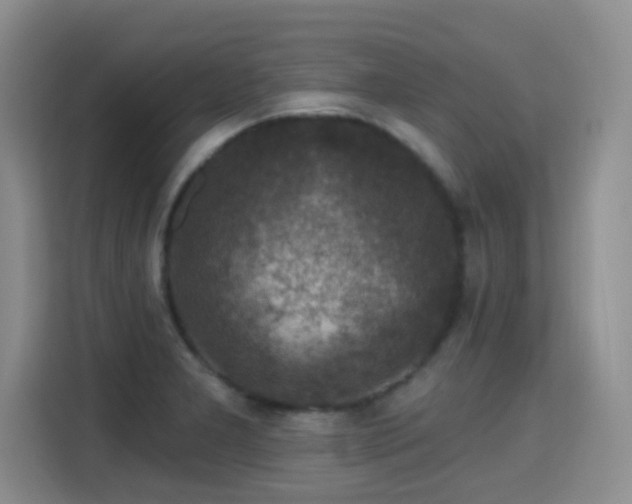 X0000115361277200911101149