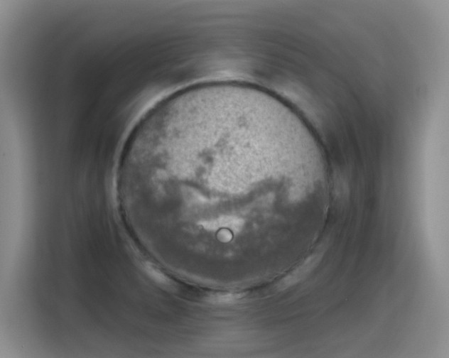 X0000115361278200911101149