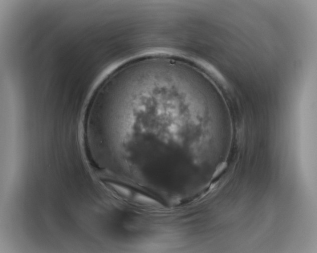 X0000115361279200911101149