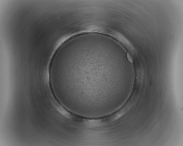 X0000115361280200911101149