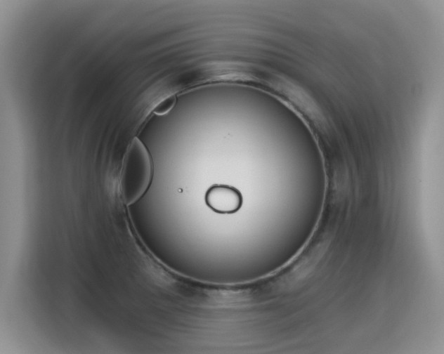 X0000115361281200911101149
