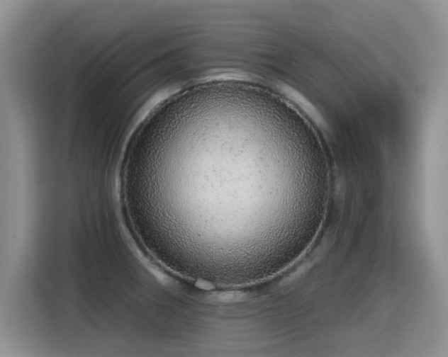 X0000115361282200911101149