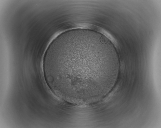 X0000115361283200911101149