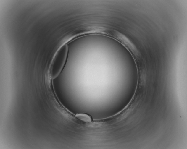 X0000115361284200911101149