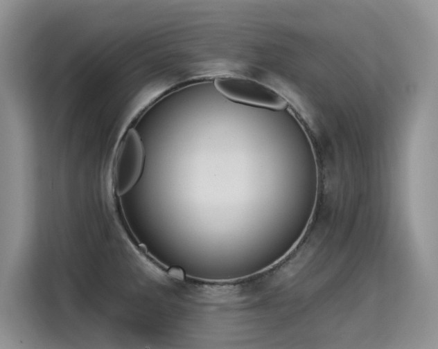 X0000115361285200911101149