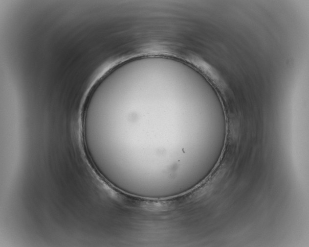 X0000115361286200911101149