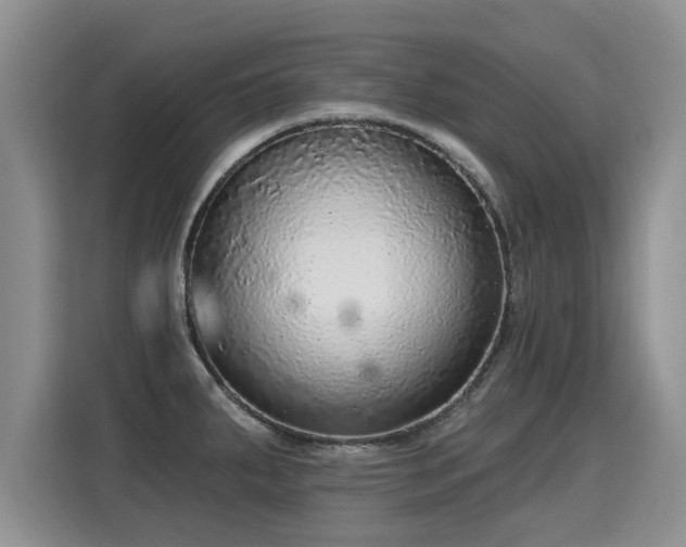X0000115361287200911101149