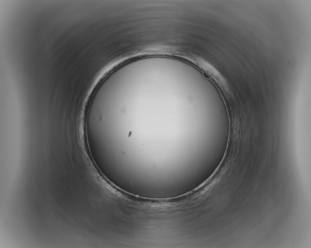 X0000115361288200911101149