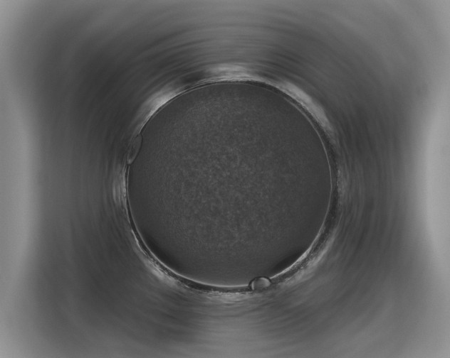 X0000115361289200911101149