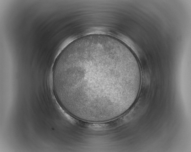 X0000115361290200911101149