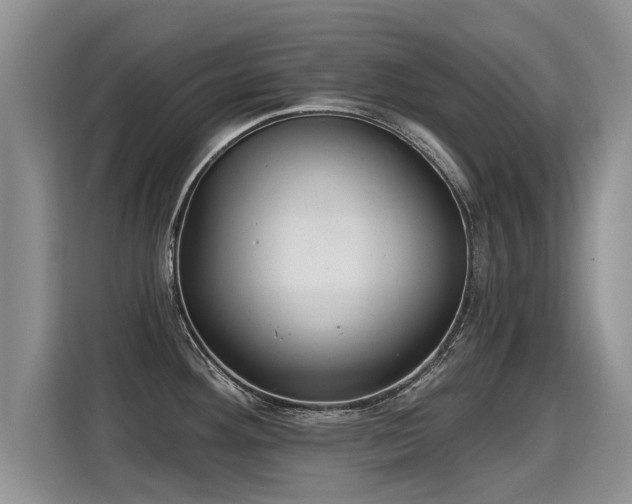 X0000115361292200911101149