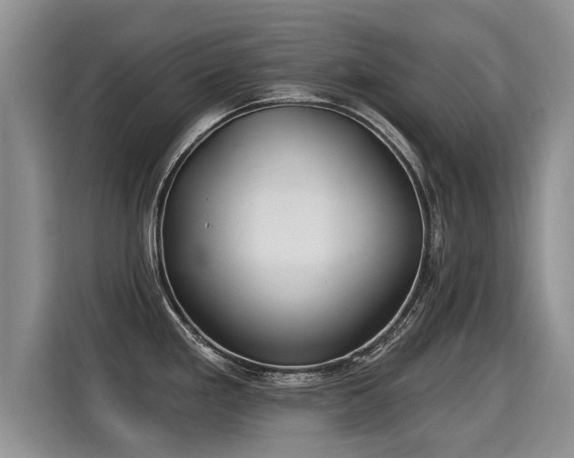 X0000115361293200911101149