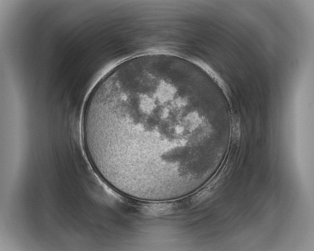X0000115361294200911101149