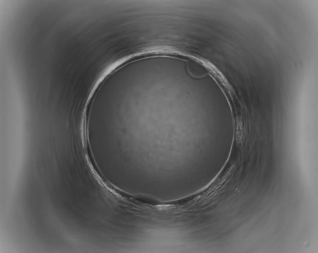 X0000115361295200911101149