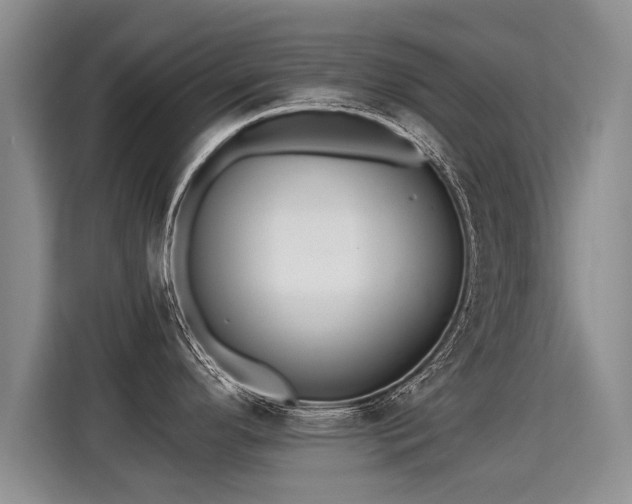 X0000115361296200911101149