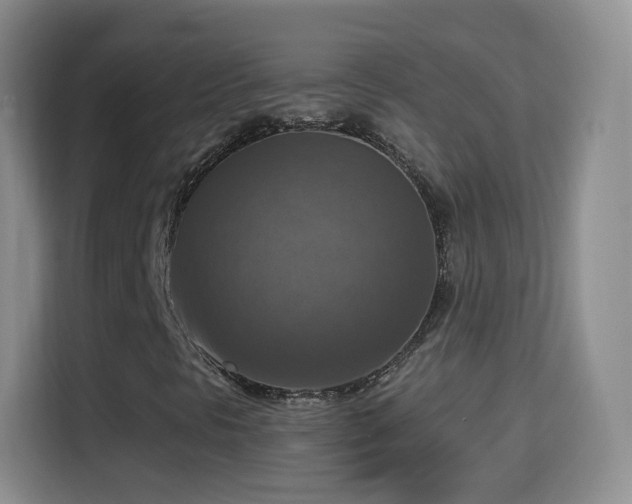 X0000115361297200911101148