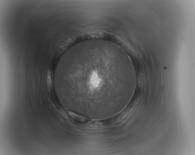 X0000115361298200911101148