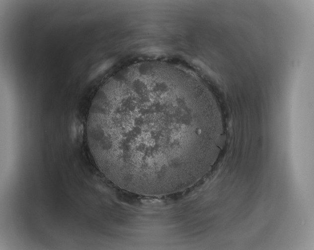 X0000115361302200911101148