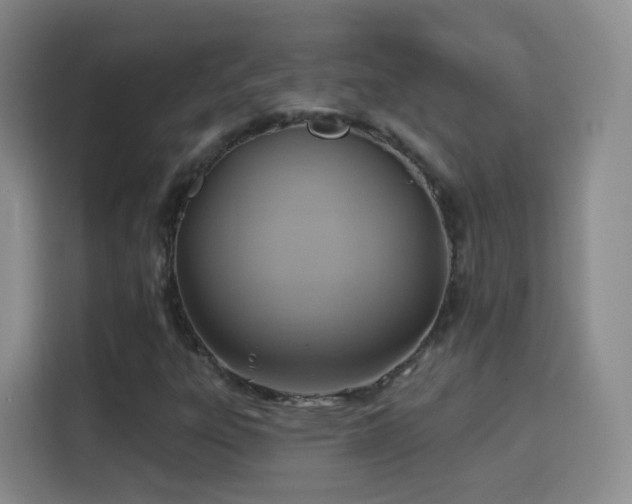 X0000115361303200911101148