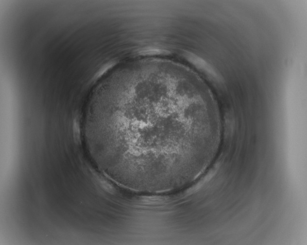 X0000115361305200911101148