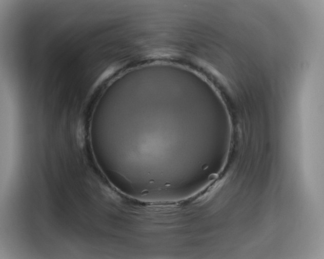 X0000115361306200911101148
