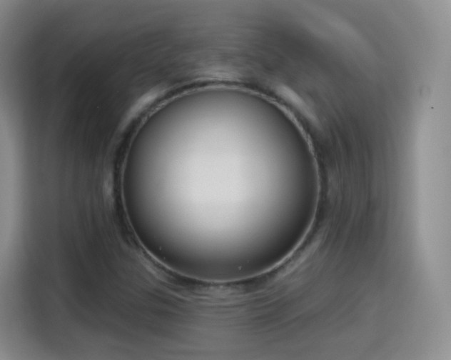 X0000115361307200911101148