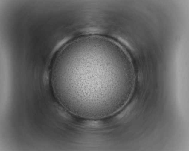 X0000115361309200911101148