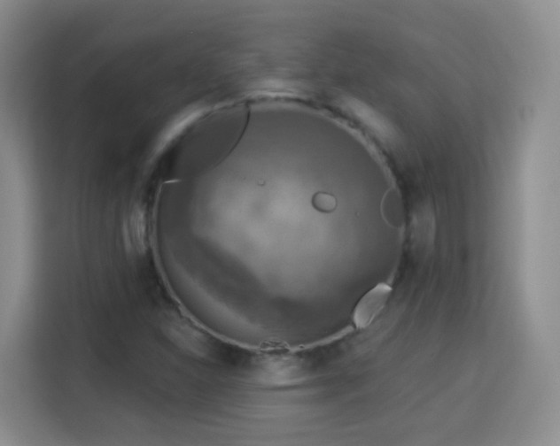 X0000115361310200911101148